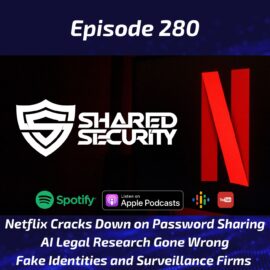 Netflix Password Sharing